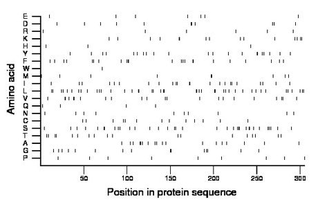 amino acid map