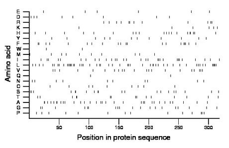 amino acid map