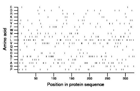 amino acid map