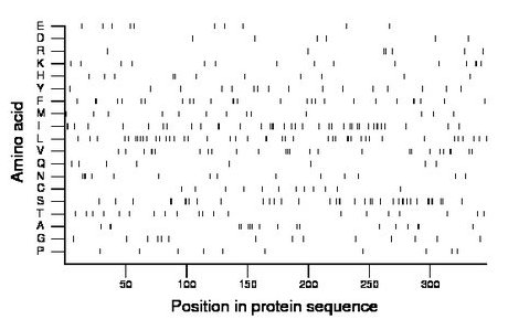 amino acid map