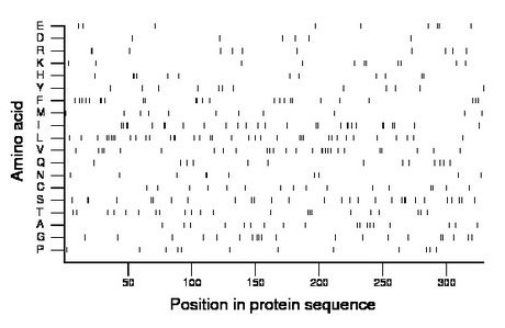 amino acid map