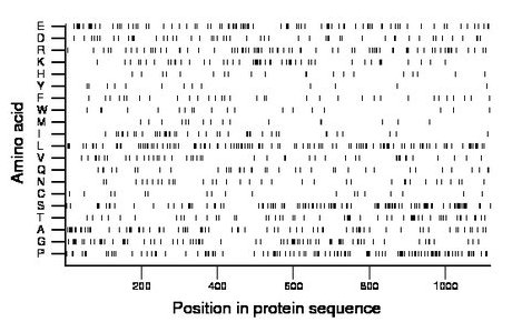 amino acid map