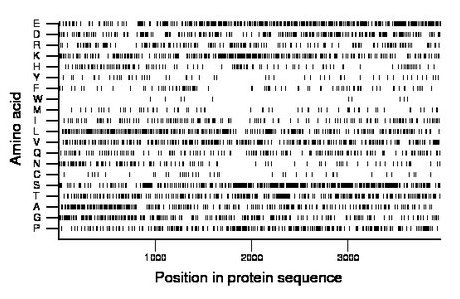 amino acid map