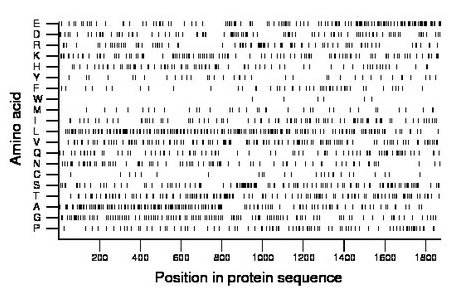 amino acid map