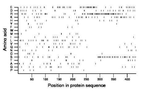 amino acid map