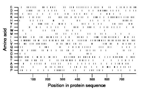 amino acid map