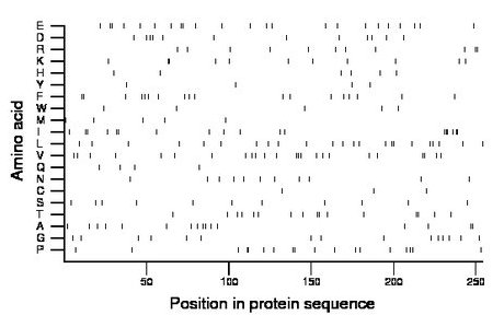 amino acid map