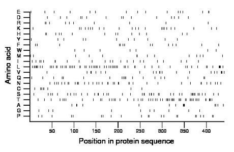 amino acid map