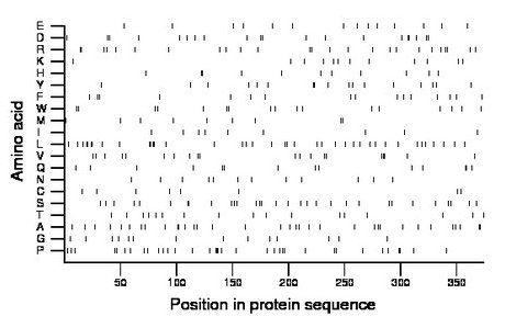 amino acid map