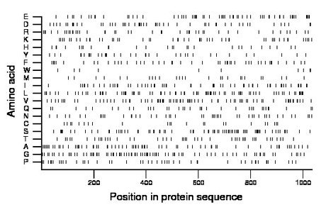 amino acid map