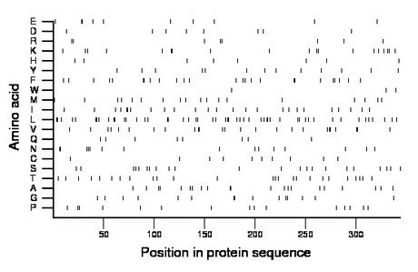 amino acid map