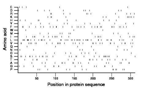 amino acid map