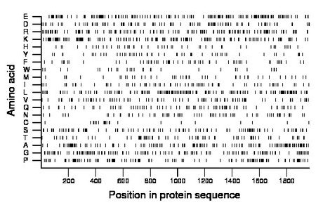 amino acid map