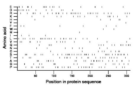 amino acid map