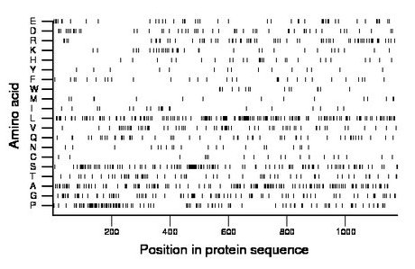 amino acid map