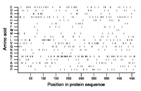 amino acid map