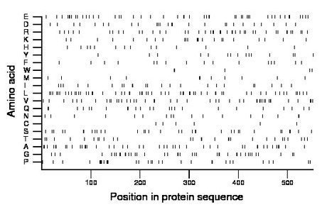 amino acid map