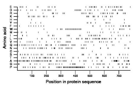 amino acid map