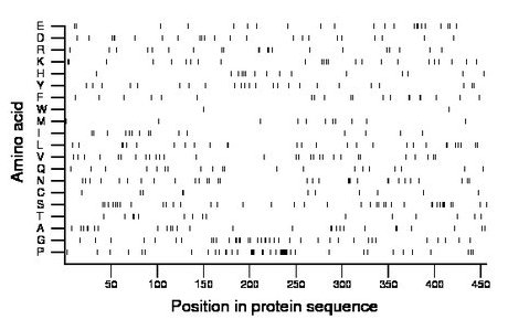 amino acid map