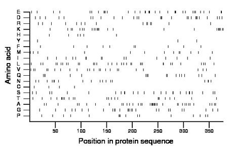 amino acid map