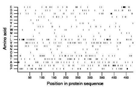 amino acid map