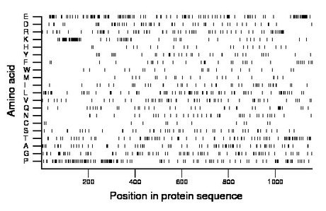 amino acid map