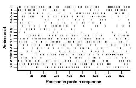 amino acid map