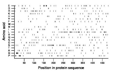 amino acid map