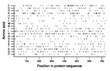 amino acid map