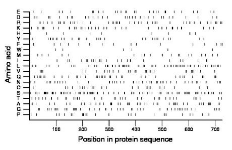 amino acid map