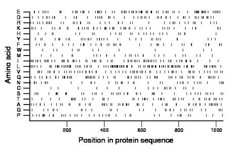 amino acid map