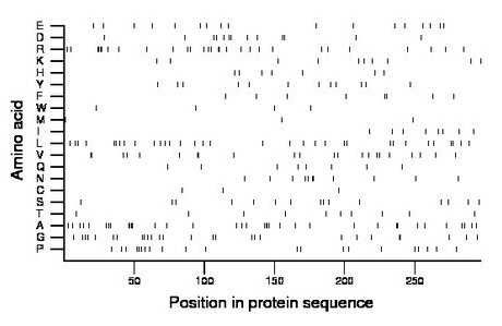 amino acid map