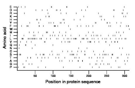 amino acid map