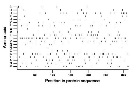 amino acid map