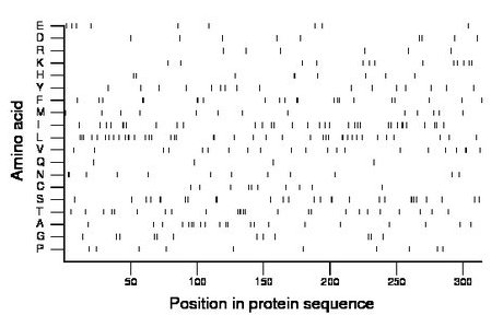 amino acid map