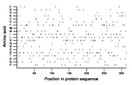 amino acid map