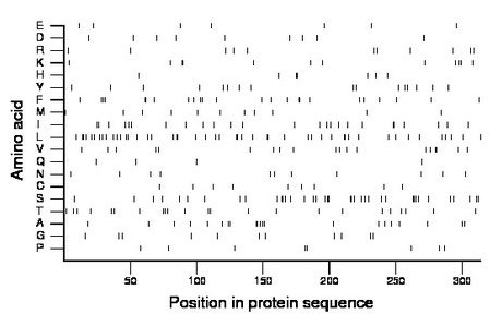 amino acid map