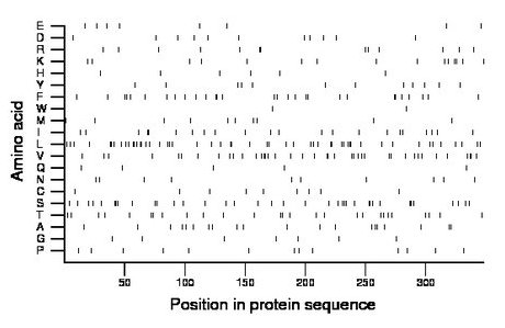 amino acid map