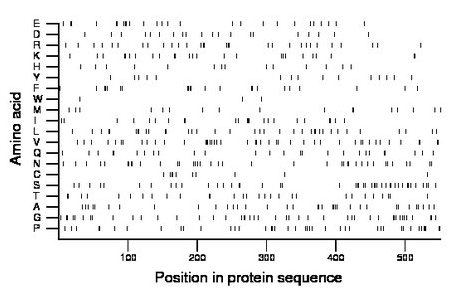 amino acid map