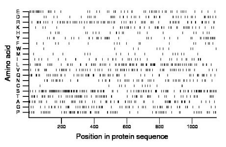 amino acid map