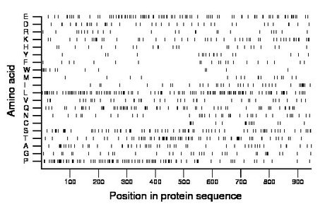 amino acid map