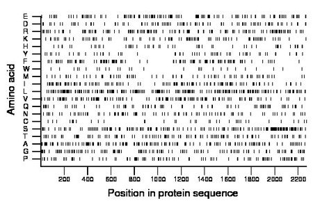 amino acid map