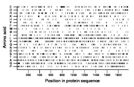 amino acid map