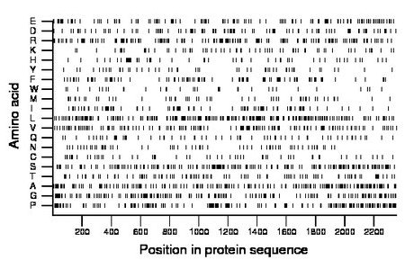 amino acid map