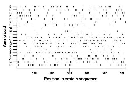 amino acid map