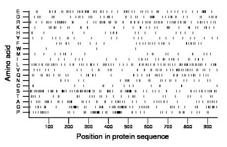 amino acid map