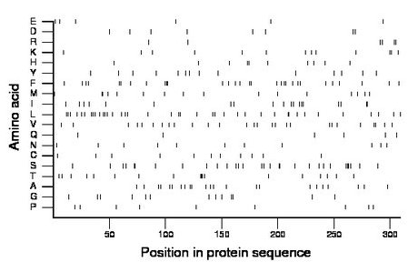 amino acid map