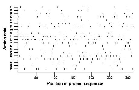 amino acid map