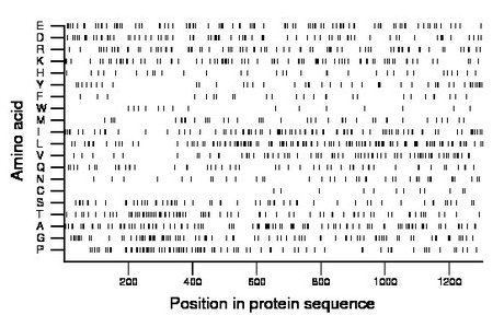 amino acid map