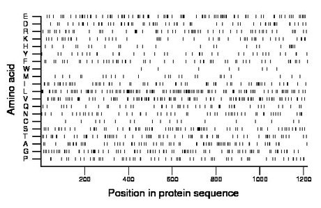 amino acid map